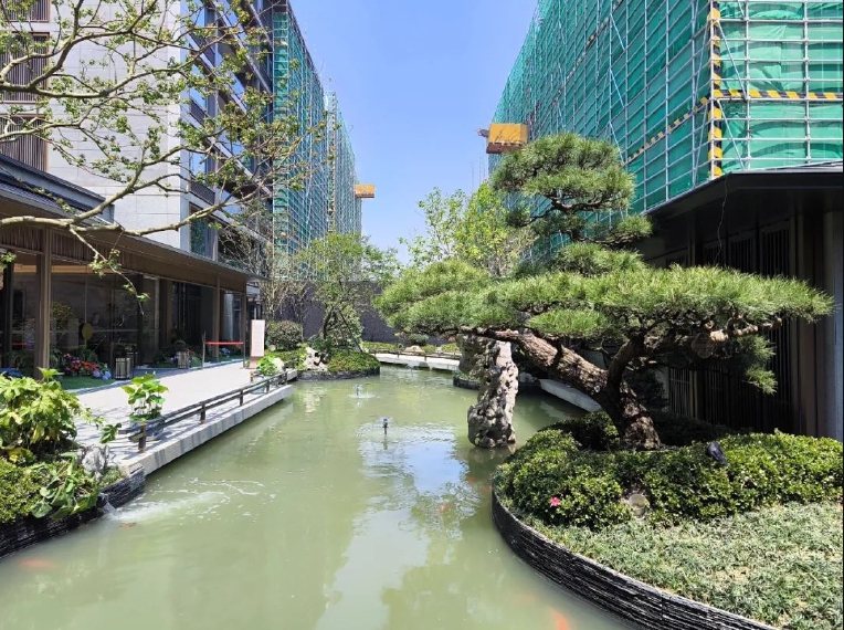 颂香望庐楼盘实景图